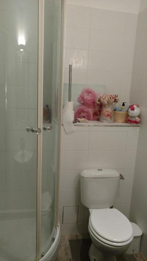Flat Dijon Down Town Apartment Bagian luar foto